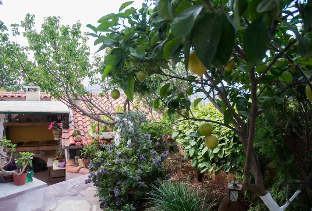 Casa di campagna Country & Sea